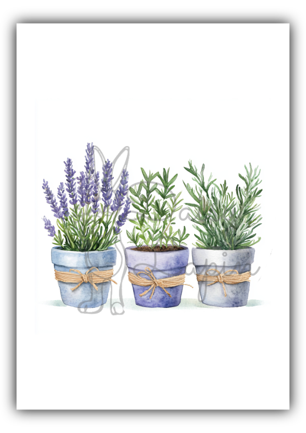 Groups of Herbs