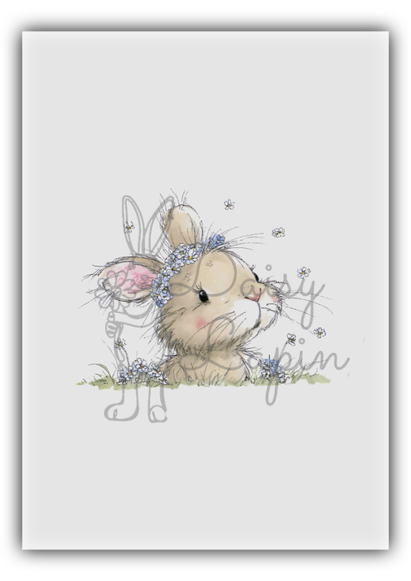 Blueberry Bunnies - Bunny face