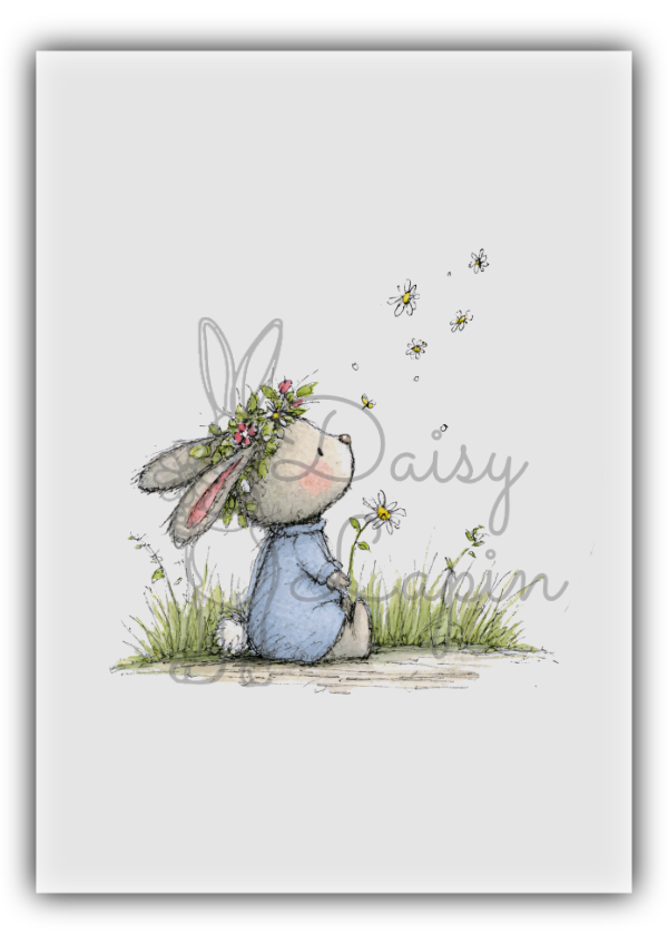 Blueberry Bunnies- Bunny looking at the sky