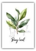 Kitchen Herbs- Bay leaf