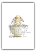Sugar Bunnies- Bunny with dropped ears